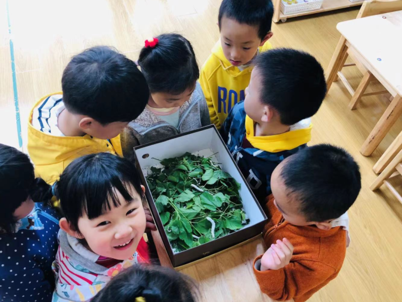 提高儿童思维能力的方法